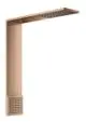 AXOR-HG-AXOR-ShowerComposition-Brausenmodul-110-220-1jet-mit-Schulterbrause-Polished-Red-Gold-12593300 gallery number 1